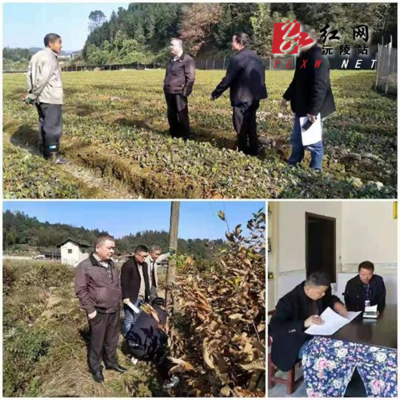 縣林業局開展雙隨機檢查與誠信宣傳，打造陽光執法生態環境