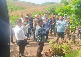 遼陽市林草局舉辦大果榛子實用技術(shù)培訓(xùn)班 助力林業(yè)產(chǎn)品銷售與產(chǎn)業(yè)升級