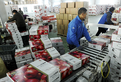 打通產(chǎn)銷“最后一公里” 國(guó)家林草局多措并舉破解林產(chǎn)品銷售難題